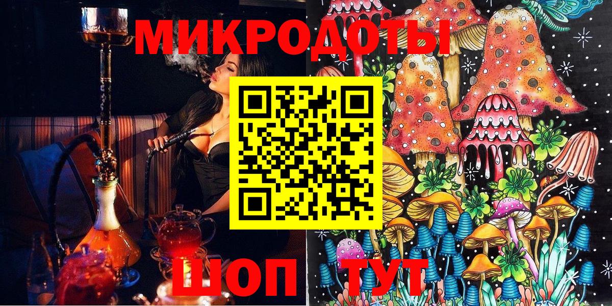 Псилоцибиновые грибы Psilocybine cubensis Дубна